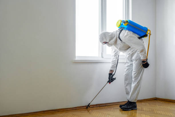 Pest Control Cost in Royal Hawaiian Estates, HI