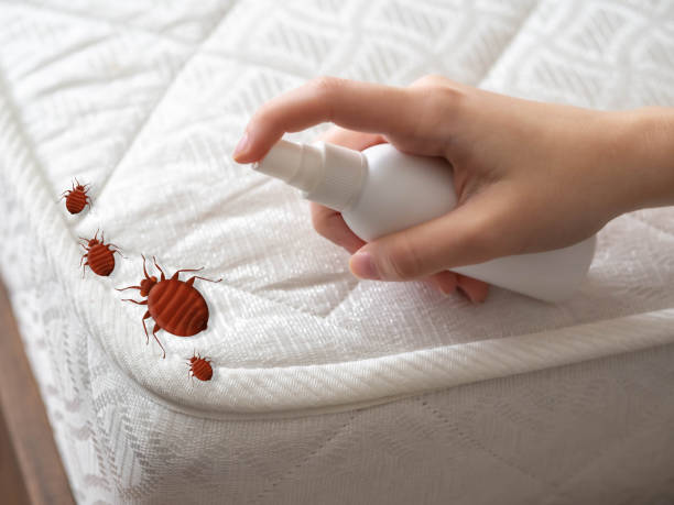 Best Residential Pest Control  in Royal Hawaiian Estates, HI