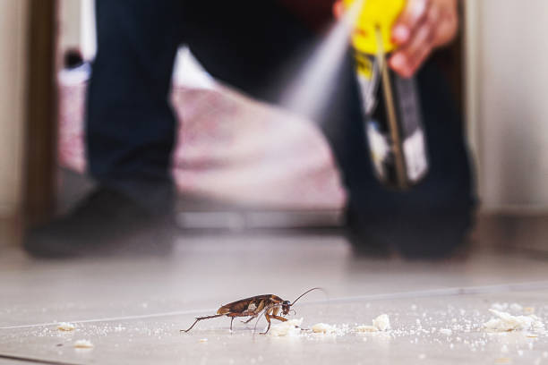 Professional Pest Control in Royal Hawaiian Estates, HI